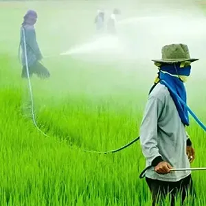 Pesticidas