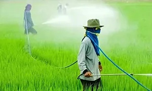Pesticidad y fertilizantes